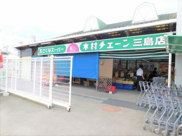 木村チェーン三島店：1343m