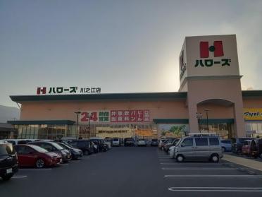 ハローズ川之江店：348m