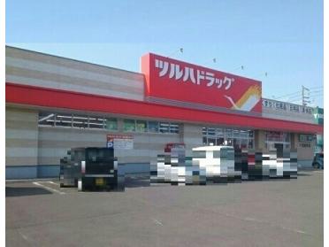 ツルハドラッグ千歳緑町店：520m