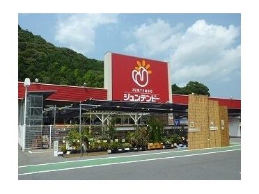 ジュンテンドー岩国インター店：1200m