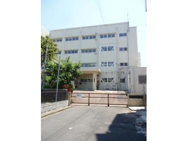 横浜市立綱島東小学校：1717m