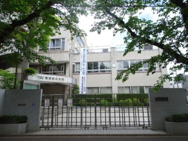私立東京高校：811m