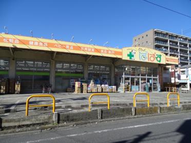 どらっぐぱぱす下丸子店：180m