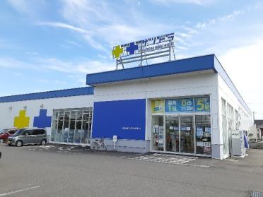 サッポロドラッグストアときわ店：1300m