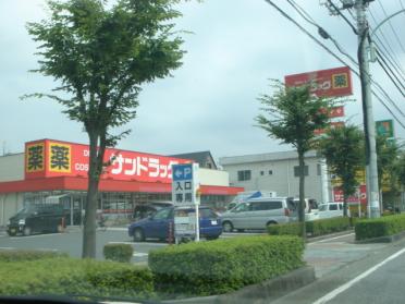 サンドラッグ東川口店：900m