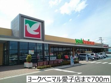 ヨークベニマル愛子店：700m