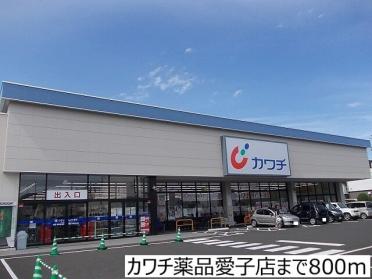 カワチ薬品愛子店：800m