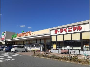 ヨークベニマル 石巻中里店：800m