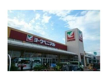 ヨークベニマル石巻蛇田店：1100m