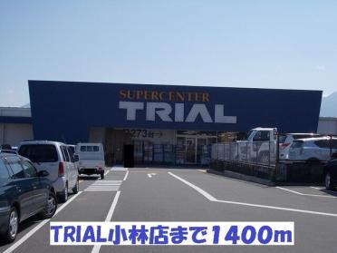 ファミリーマート小林仲町店：1700m