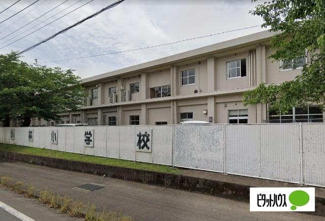 小林市立小林小学校：572m