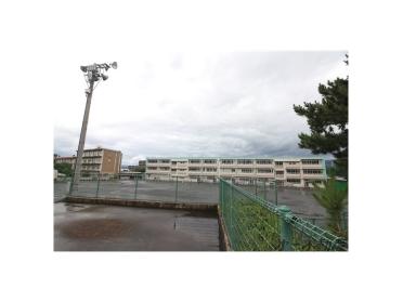 静岡市立清水有度第一小学校：850m