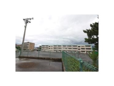 静岡市立清水有度第一小学校：1600m