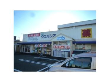 ウエルシア薬局静岡用宗店：1100m