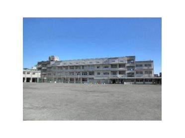静岡市立新通小学校：1100m
