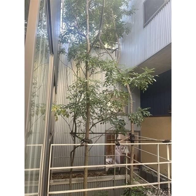 柿屋ビル（2-E） 部屋画像