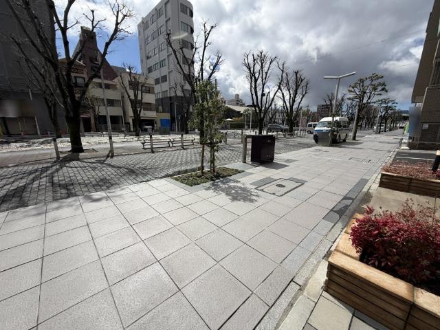 プレシス静岡七間町（302） 前面道路含む現地写真