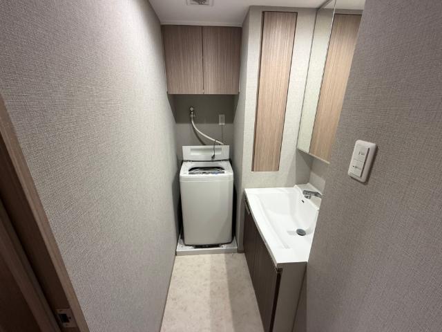 プレシス静岡七間町（302） 洗面