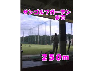 サンゴルフ：250m