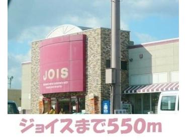 ジョイス龍ヶ馬場店：550m