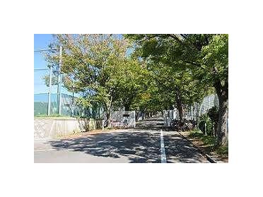 大阪教育大学附属池田中学校：794m