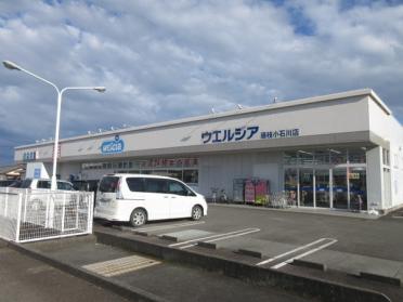 ウエルシア藤枝小石川店：940m