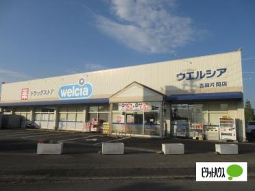 ウエルシア吉田片岡店：883m