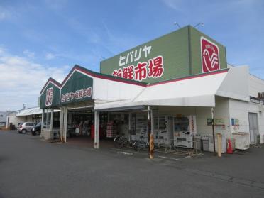 ヒバリヤ新鮮市場小川店：837m