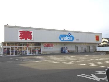 ウエルシア　塩津店：350m