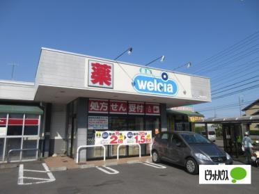 ウエルシア藤枝駿河台店：451m