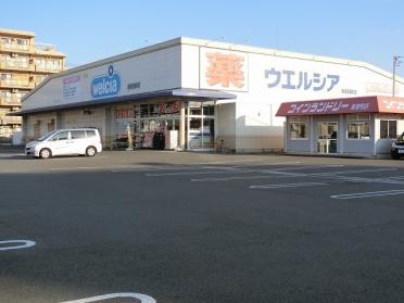 ウエルシア　青葉町店：1100m