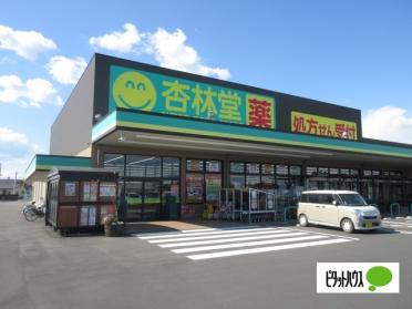 杏林堂薬局吉田店：585m