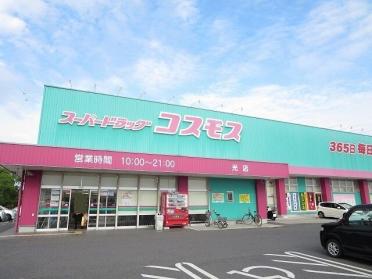 コスモス光店：1900m