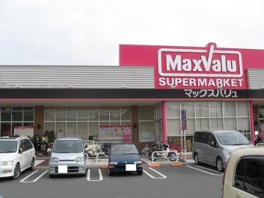 マックスバリュ徳山東店：850m