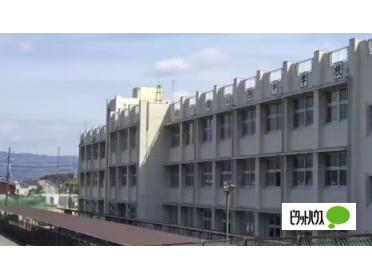 大和郡山市立郡山西小学校：842m