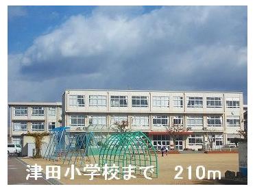 津田小学校：210m