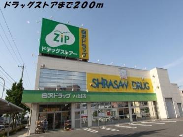 ジップ：200m