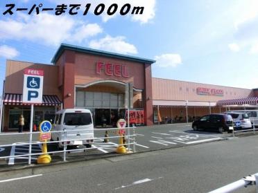 フィール：1000m