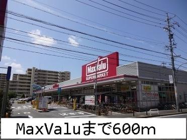 ＭａｘＶａｌｕ：600m