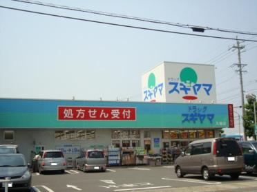 ドラッグスギヤマ入場店：594m