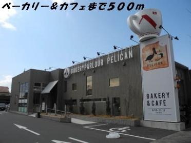 ペリカン：500m