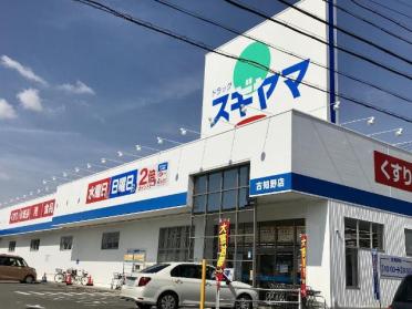 ドラッグスギヤマ古知野店：569m