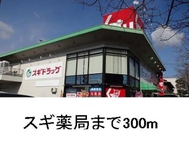 スギ薬局：300m