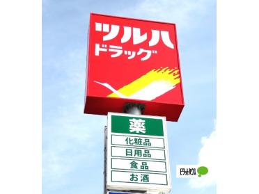 ツルハドラッグ和歌山中之島店：619m