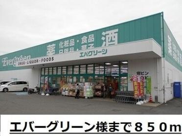 エバグリーン吉備店：931m