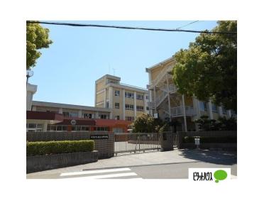 和歌山市立紀之川中学校：991m