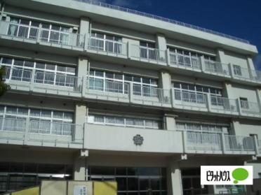 和歌山市立芦原小学校：534m