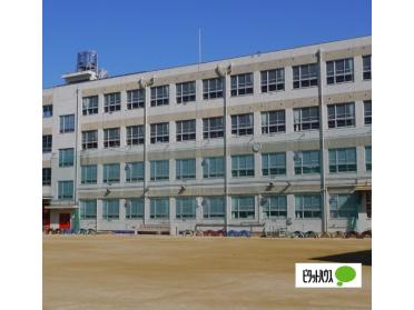 名古屋市立枇杷島小学校：350m