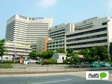 名古屋市立大学病院：764m