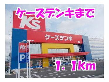 ケーズデンキ：1100m